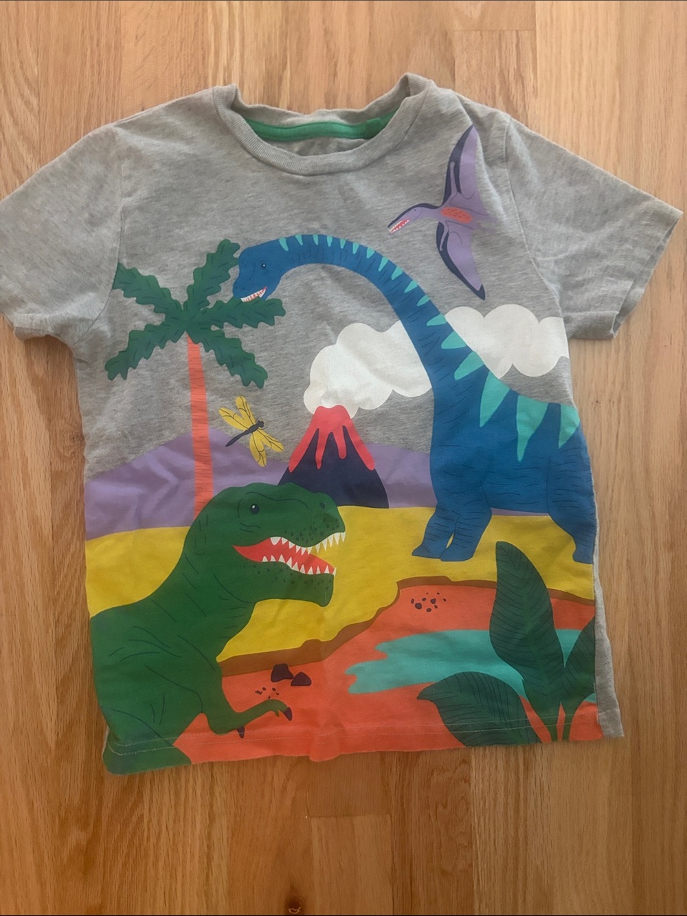 Boden dinosaur t shirt